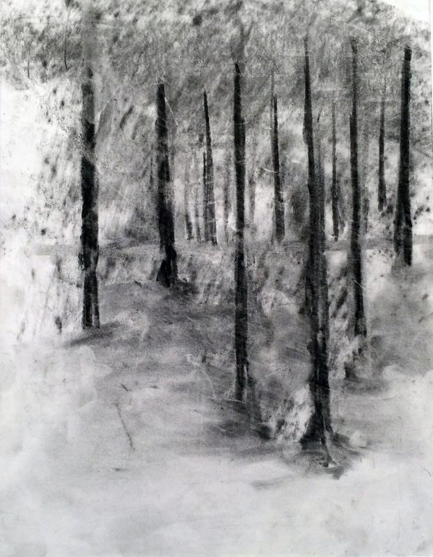 charcoal forest